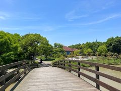 -上海海湾国家森林公园