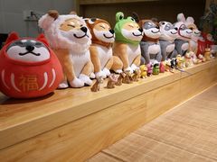 -柴务处·柴犬主题狗咖