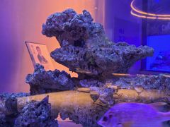 -上和臻品中国菜(花园街店)