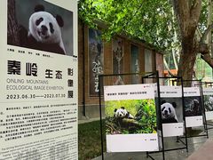 -西安电影制片厂