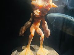 -贝林大翅鲸简餐厅(国家海洋博物馆店)