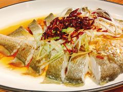 -1937青岛老味道·海肠捞饭·青岛菜(大鲍岛栈桥店)