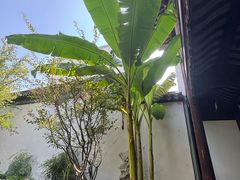 -苏州文旅花间堂·探花府酒店