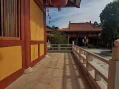 -三水森林公园