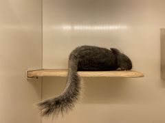 -龙猫仔乐园(惠福东路店)