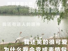 -达活泉公园