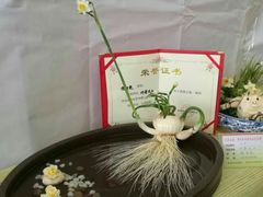 -龙大花卉苗木市场