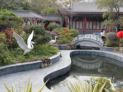 -大亚湾红树林城市湿地公园