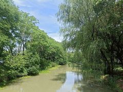 -昆山城市生态森林公园