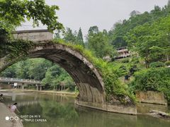 -四川省成都市彭州市白鹿镇