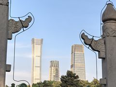 -紫光园·烤鸭·北京菜(劲松店)