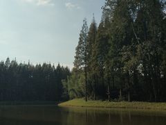 -黄海国家森林公园