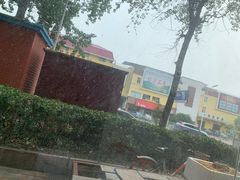 -瑞派福兴宠物医院犬猫全科·骨科·中西医结合(河东店)