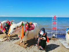-青海湖国家重点风景名胜区