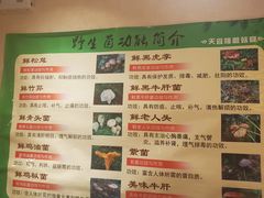-天宜隆蘑菇宴火锅(石景山旗舰店)
