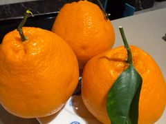 -龙森园火锅(琴台路店)