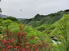 -西泰山风景区