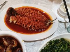 松鼠鱼-蒲氏烤鸭(百寿路店)