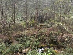 -苍山感通索道