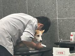 -宠物家(大兴旧宫店)