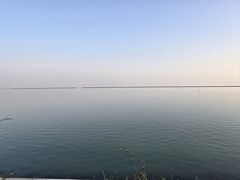 -贡湖湾湿地公园