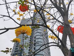 -洲头咀公园