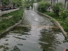 -春风习习