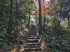 -青龙山国家森林公园