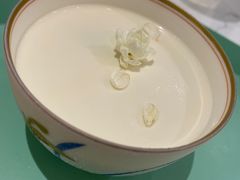 茉莉花酪-茶是一枝花泡茶店