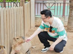 -灵玲国际马戏城