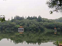 -深圳仙湖植物园