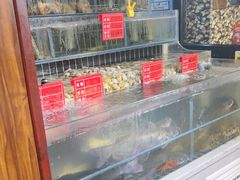 -大胡子海鲜·天津菜·砂锅烧烤(五大道创始店)