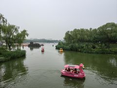 -大兴滨河森林公园