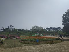 -秀丽东方
