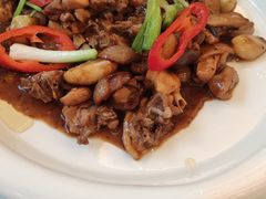 -新君悦国际酒店
