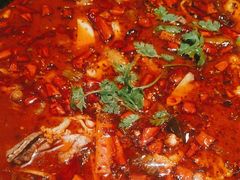 -渝蛙馆(新百店)