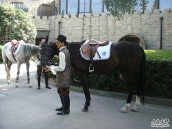 DSC00626-金庭庄园酒店彩虹厅