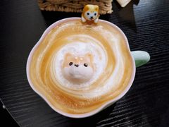 -逗柴咖啡屋·狗咖猫咖宠物桌游