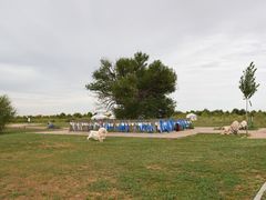 -亿利库布其七星湖沙漠生态旅游区