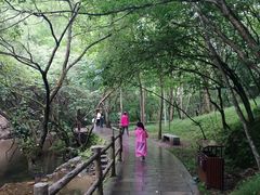 -牛背梁国家森林公园
