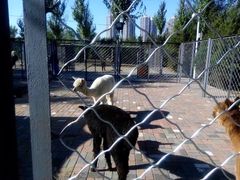 -长白岛森林公园