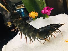-德米火锅(深圳湾1号旗舰店)