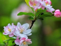 -上海吴淞炮台湾国家湿地公园