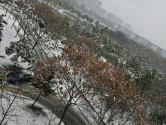 -东南大学(九龙湖校区)