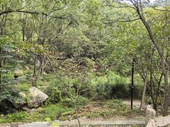 -大岭沟猕猴桃谷风景区