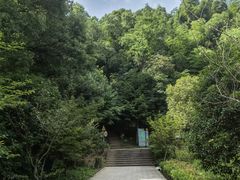 -上海佘山国家森林公园天马山园