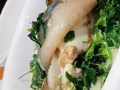 河豚鱼-镇扬菜馆