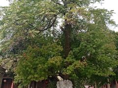 -兴教寺