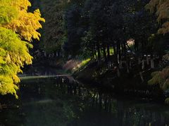 -八大山人梅湖景区