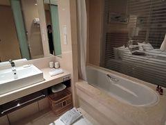 -电谷雅阁国际大酒店